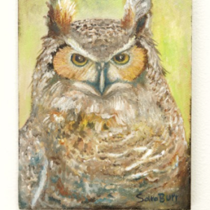 Owl by Sara Burr