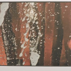 Car Wash 3 by Nichole Spates