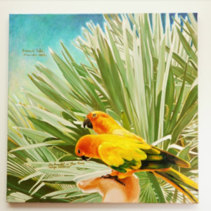 Aratinga Solstitialis on Bismaria Nobilis by Alberto Gomez