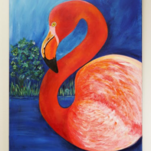 Flamingo by Arelys Quintero