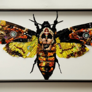 Acherontia Atropos (The Silence of the Lambs) by Bryan Murch