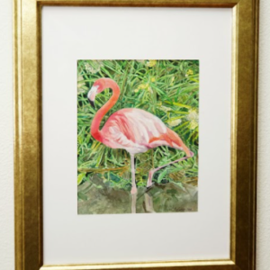 Re-imaged Gatorland Flamingo by Stacey Fisher