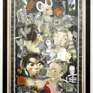 What the Hoot!! by Anita Vrionides