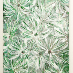 Dandelion Surprise by Rachel Meyers