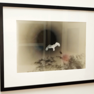 Aloft, Negative Process by Sara Hollamby