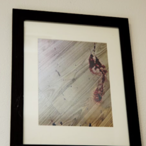 Pandemic Footprints by Joanna Levine