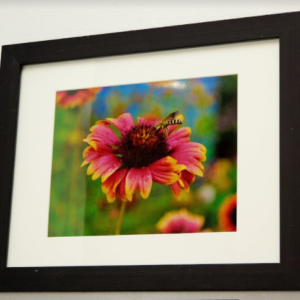 Red Sting by Joanna Levine