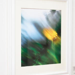 Through Blurry Eyes by Rebecca Shuh