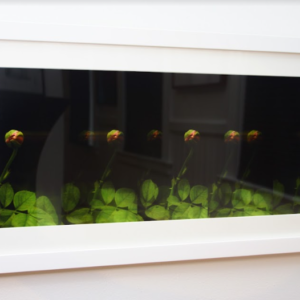 By Any Other Name by Sara Hollamby