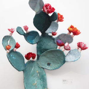 Nopal Blossom by Edmundo Lopez