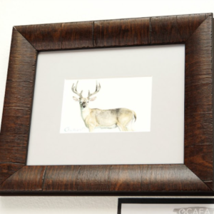 Recognize, Forest Royalty by Chase Bowers