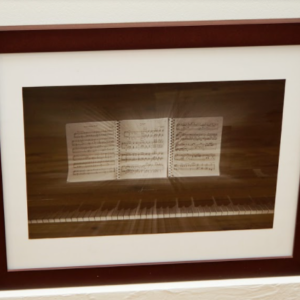 Op 3 No 2 by Sara Hollamby