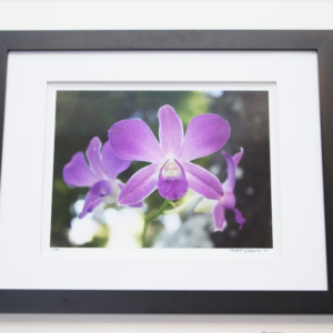 Ground Orchid by Miguel Iglesias