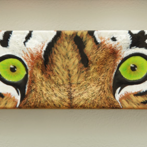 Windows to the Soul by Sofia Del Real