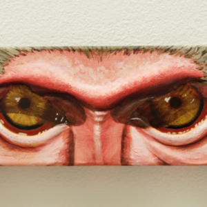 Windows to the Soul by Sofia Del Real