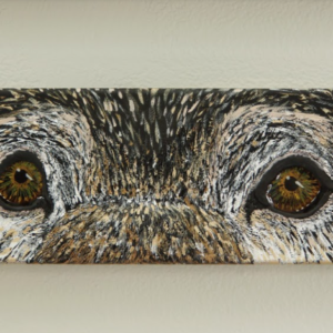 Windows to the Soul by Sofia Del Real