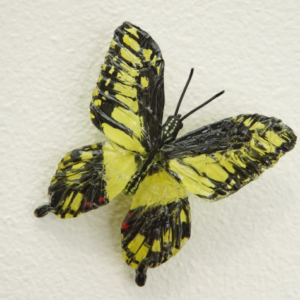 Fluttering Memories (Argentina) by Sofia Del Real