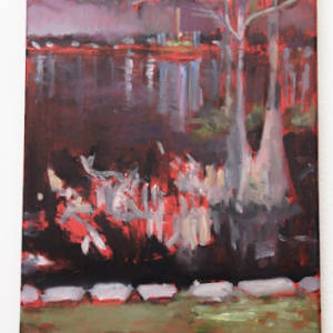 Cypress 27/36 by Stemberger