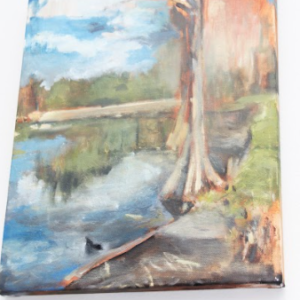 Cypress 12/36 by Stemberger