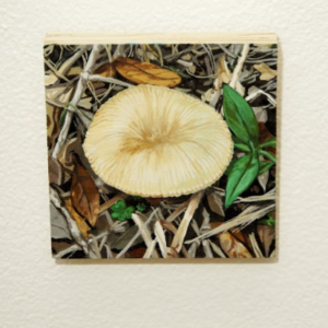 Study of a Moment (Oct 5, 2020) by Brittney Fucheck