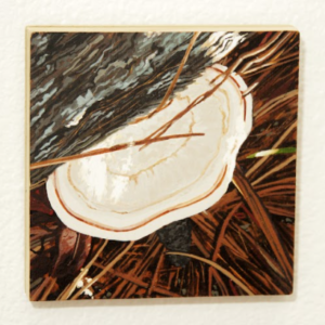 Study of a Moment (Feb 20, 2019) by Brittney Fucheck