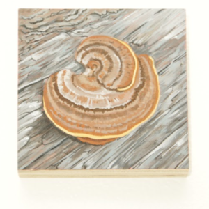 Study of a Moment (Feb 20, 2019) by Brittney Fucheck