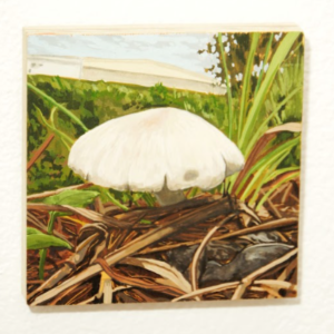 Study of a Moment (Oct 5, 2020) by Brittney Fucheck