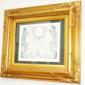 Xolo Guides by GSE Arts