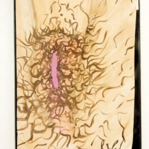 Venus by Leah Haffey