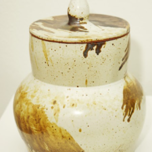 Earthenware Sculptural Jar by Madeline Tavrides
