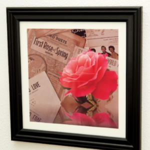 First Rose of Spring by Tanvi Ranade