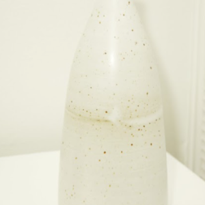 Earthenware Bottle by Madeline Tavrides