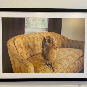 Penelope by Erin Monroe