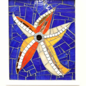 Starfish by Karen Babb