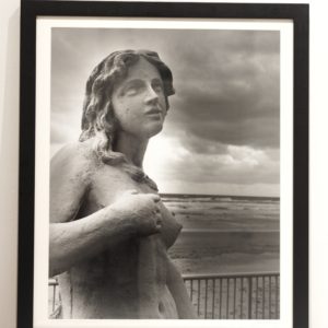 Salacia is a Rock by John Baker