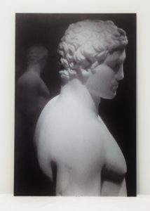 Narcissus by Josh Garrick