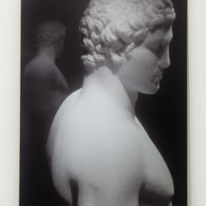 Narcissus by Josh Garrick