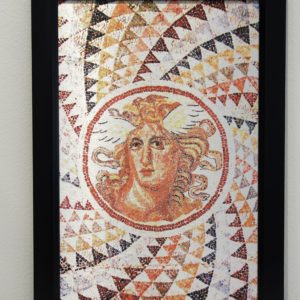 “Medusa in Stone” by Josh Garrick