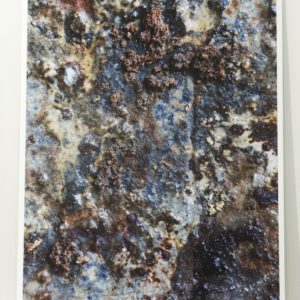 Photograph 1 by Richard Munster