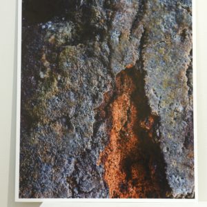 Photograph 4 by Richard Munster