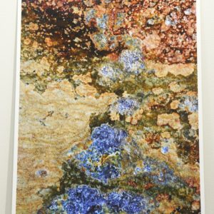 Photograph 5 by Richard Munster