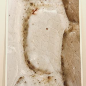 Photograph 7 by Richard Munster