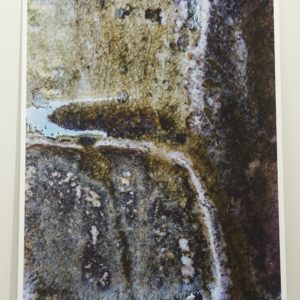 Photograph 8 by Richard Munster