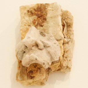 Faces 1 by Richard Munster