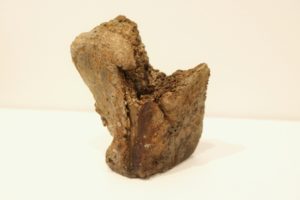 Sculpture 3 by Richard Munster