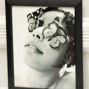 Butterfly Encounter 1