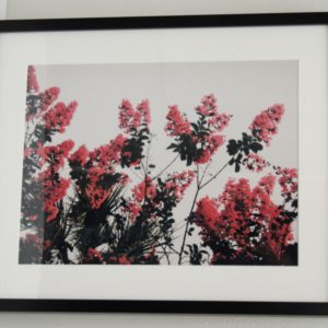 Innerbloom by Constanza Ulloa-Colina