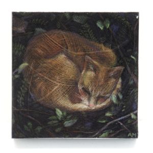 Gingernaps by Anna McCambridge