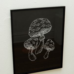 Groovy Mycelium Noir by Tabula Rasa