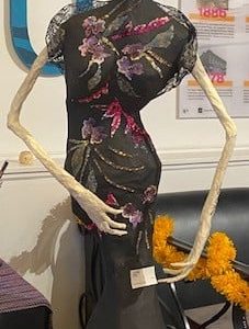 Catarina by David Martinez